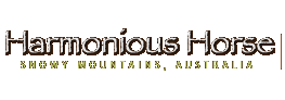Harmonious Horse Logo