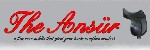 Ansur logo